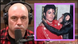 Joe Rogan on Michael Jacksons Weirdness [upl. by Atikal]