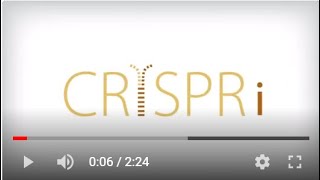 What is CRISPR interference or CRISPRi [upl. by Anar]