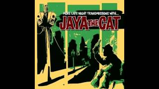 Jaya the cat  Night Bus [upl. by Free]