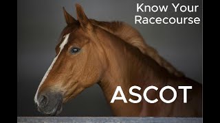 ASCOT Racecourse Detailed Description [upl. by Roumell]