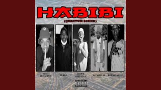 Habibi Quantum Sound feat RBee De’vine 07 Drumonade amp Tumi Sdomane [upl. by Athalia529]