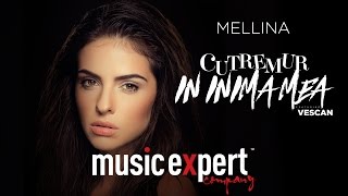 Mellina  Cutremur in inima mea YouTube version feat Vescan [upl. by Acinna]