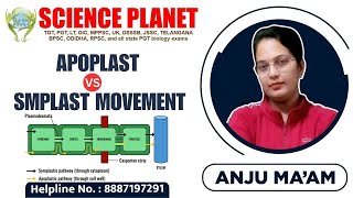 APOPLAST Vs SMPLAST MOVEMENT II SYMPLASTIC PATHWAY II BY ANJU MAM II SCIENCE PLANET II [upl. by Adnoma]