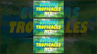 CUMBIAS TROPICALES🌴FITO OLIVARESTROPICAL PANAMA ALEX BAR💃LAS MEJORES CANCIONES CUMBIAS PARA BAILAR [upl. by Aissila]