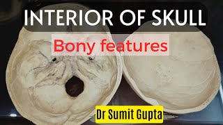 INTERIOR OF SKULL  Bony features [upl. by Ireg]