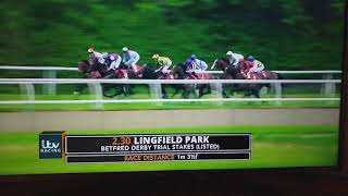 Lingfield Derby Trial 2018 Knight to behold [upl. by Ayad]