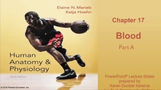 Anatomy and Physiology Chapter 17 Part A Lecture Blood [upl. by Viking]