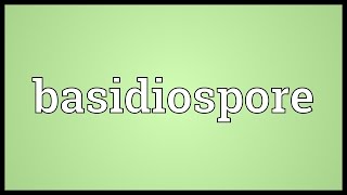 Basidiospore Meaning [upl. by Sasnak11]