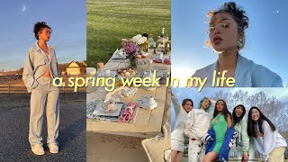 a week in my life VLOG  where im moving plans Dixons bday first picnic with friends [upl. by Uel44]