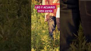 Acuario ♒ y Leo ♌ como pareja compatibilidaddesignos  kimono rojo [upl. by Nylssej]