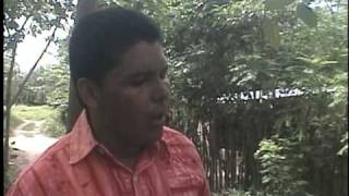 Walter Zambrano quotDETEN TUS PASOSquot [upl. by Kcirredal]