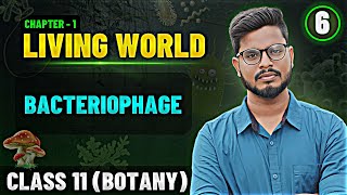 Bacteriophage in Tamil  Living World Tamil 6  Class 11 Botany State Board [upl. by Htur]