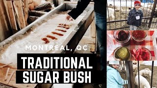 We Visit a Canadian Sugar Bush  Montreal Qc  2019 [upl. by Ordnassela]