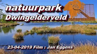 Natuurpark Dwingelderveld 23 04 2019 [upl. by Chenay]