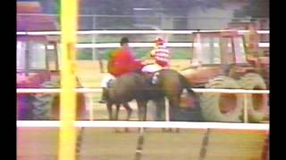 1981 Belmont Stakes  Summing  CBS Broadcast [upl. by Kattie]