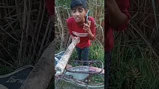 किसको मारना है sir trendingshorts ytshort youtubeshort trendingshorts rampal ki comedy [upl. by Enohpesrep]