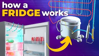 How does a Refrigerator work 3D Animation [upl. by Yuzik408]