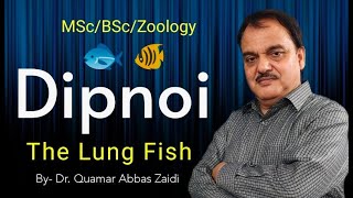 Dipnoi the lung fish I MSc I BSc I Zoology I Lecture By Dr Quamar Abbas Zaidi [upl. by Enerol49]