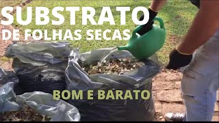 SUBSTRATO CASEIRO DRENANTE PARA JARDIM HORTA E PLANTAS [upl. by Clarise]