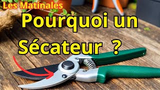 Tout Ce Que Vous Devez Savoir sur lUtilisation dun Sécateur au Jardin [upl. by Aicelet]