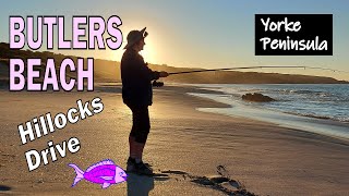 Australian Salmon fishing and Mullet fishing on Butlers Beach Hillocks Drive [upl. by Neerom]