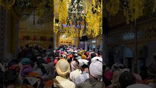 Gurpurab 🌸✨ Gurdwara Bangla Sahib 🙏🏻 gurpurab waheguru delhi gurudwara shorts shortsfeed [upl. by Groot634]