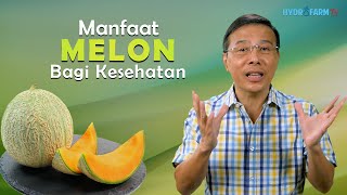 MANFAAT MELON BAGI KESEHATAN [upl. by Aehcsrop563]