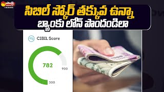 Get Personal Loan Low Cibil Score  Bank Loan Without Cibil Score  Sakshi TV Business [upl. by Nylsaj390]