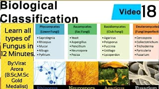 Types of fungus classification of fungiphycomycetesascomycetesbasidiomycetesdeuteromycetesNEET [upl. by Xuaeb701]