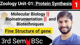 Lec01।।Semlll Zoology Unit01।। Protein Synthesis।। Structure of Gene।।BSc ll Year।।Bsc World [upl. by Razal727]