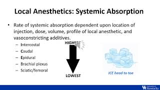 ITE Review  Regional Anesthesia Physiology and Pharmacology  Dr Johnson [upl. by Sorci23]