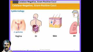 Diagnostic Microbiology StreptococciA [upl. by Greta]