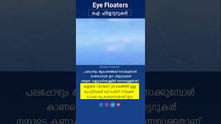 Eye Floaters  ഐ ഫ്ലോട്ടറുകൾ shorts [upl. by Kariv428]