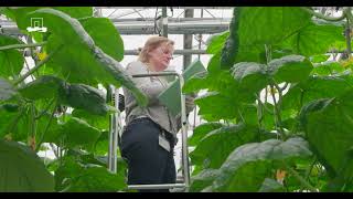 Autonomous Greenhouses AGROS validation trial 2023 Autonomous controls [upl. by Akeit]