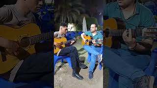 pharaon gipsy king rumba guitar shorts subscribe [upl. by Ocnarfnaig]