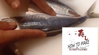 How to clean fishhorse mackerelSTEP1 sushiJapanese sushi chef of professional [upl. by Airekal]