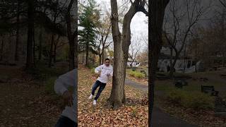 Where’d he go leaves forest outdoors cr7 gone funny travel glenpark buffalo [upl. by Harehs]