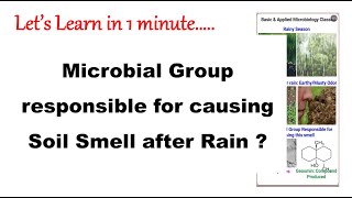 Soil Smell After Rain I Microbial group and Compound involved I Lets learn in 1 minute I Shorts [upl. by Tse675]