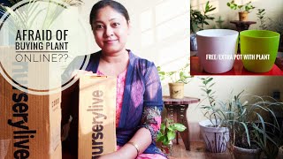 Nurserylivecom Plant Unboxing First Experience Genuine Review Live indoor Plant Online [upl. by Neri498]