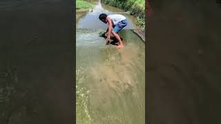 Jodi thake naseeb Apne Apne aashi be Fishing video [upl. by Marder]