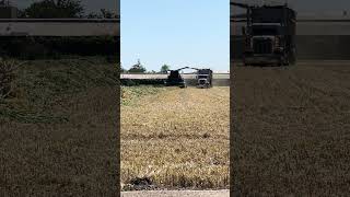 John Deere forage harvester part 24 [upl. by Christi519]