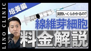 【線維芽細胞】料金大公開！実際いくらかかるの？注入部位別の必要量までこれを見れば治療かかる料金がしっかり分かる！ [upl. by Yelnet]