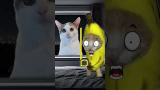 Banana Cat 🍌🐱 Is Terrified 😨 Because Of Slender Cat 🙀💀 [upl. by Adelia43]