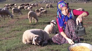 Yörük Kadını Özgül Topalak Yemeği Yaptı Misss Gibi [upl. by Werd]