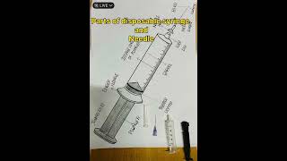 Parts of disposable syringe and needle demo hospital syringe pats nursing and medical demonstratio [upl. by Skvorak303]