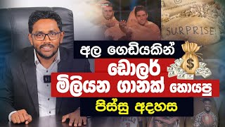 අල ගෙඩියකින් ඩොලර් මිලියන ගානක් හොයපු පිස්සු අදහස  Potato Parcel Sinhala Review [upl. by Enelehs]