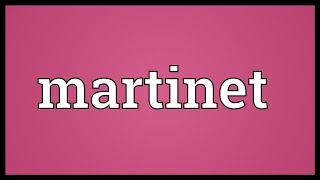 Martinet Meaning [upl. by Suivatram]