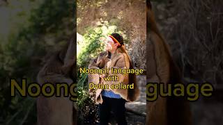 Kalyakoorl  Dylan Collard Noongar Language [upl. by Filbert]