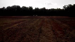 John Deere 8200 planting beans with 2600 Kinze [upl. by Yearwood]