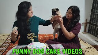 Funny Dog Cake Videos  Dog Reaction to Cutting Cake  Chef Dog Bakes Cake  Dog Reviews Food [upl. by Clementi]